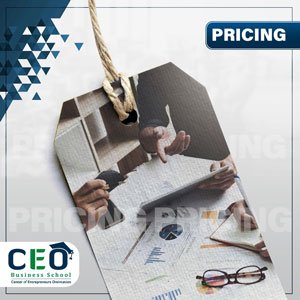 https://ceo4edu.com/wp-content/uploads/2021/09/pricing-w.jpg